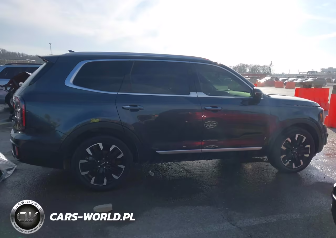 2023 Kia Telluride Sx VIN:5XYP5DGCXPG355205 - 13