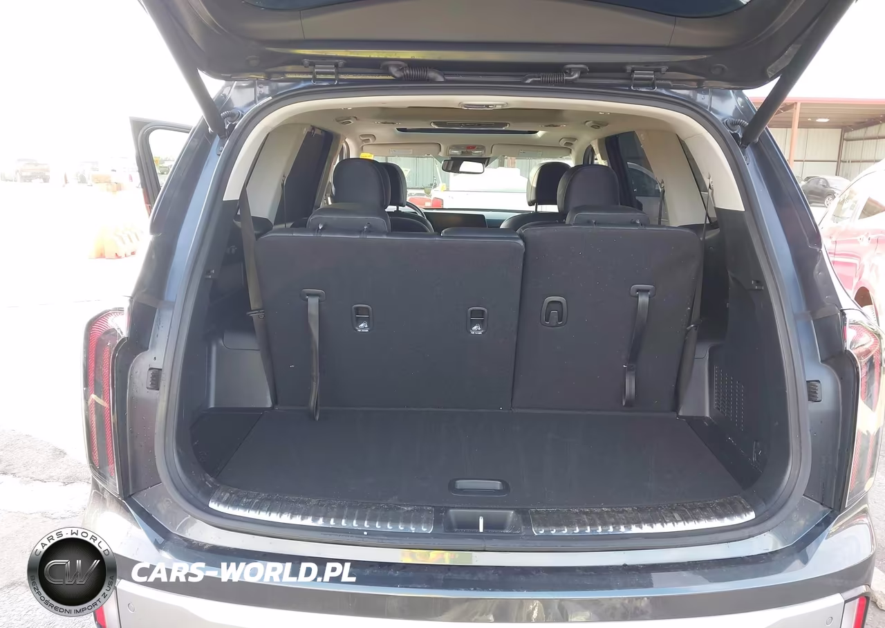 2023 Kia Telluride Sx VIN:5XYP5DGCXPG355205 - 17