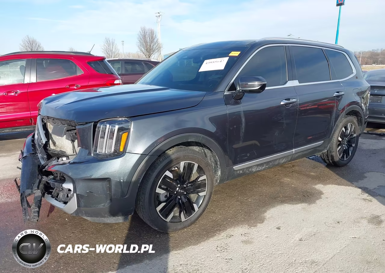 2023 Kia Telluride Sx VIN:5XYP5DGCXPG355205 - 2