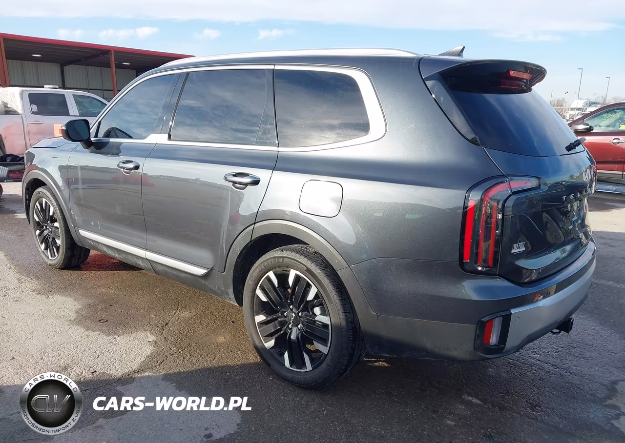 2023 Kia Telluride Sx VIN:5XYP5DGCXPG355205 - 3