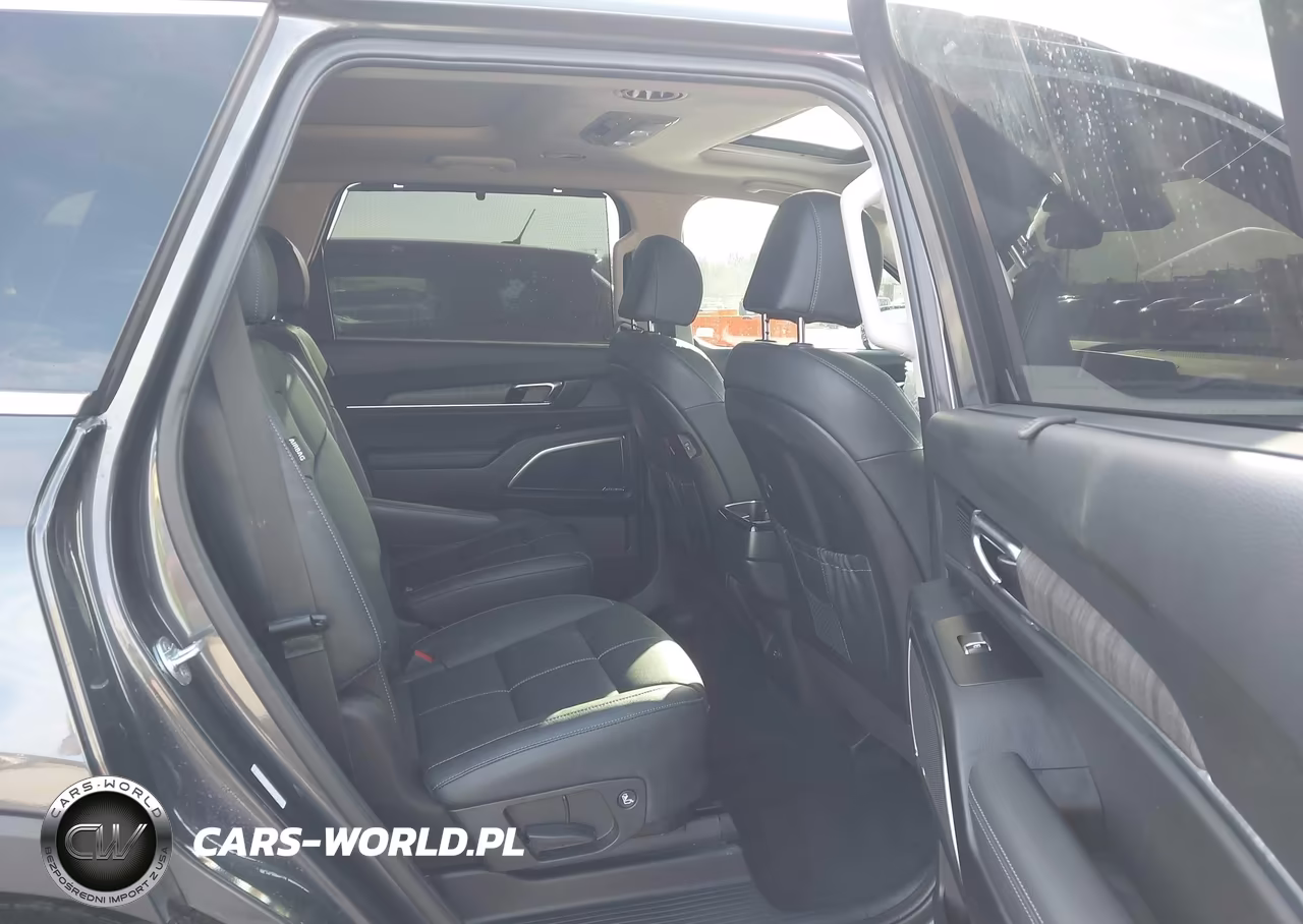 2023 Kia Telluride Sx VIN:5XYP5DGCXPG355205 - 8