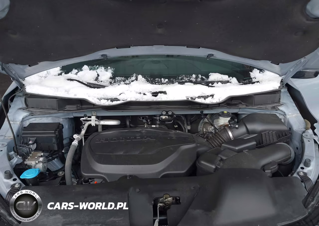 2023 Honda Odyssey Sport VIN:5FNRL6H77PB031907 - 10