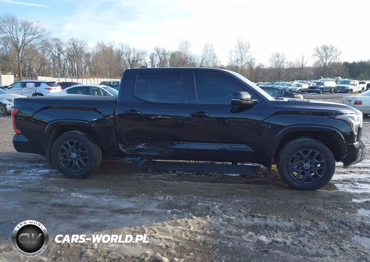 2024 Toyota Tundra Hybrid Platinum 4Wd VIN:5TFNC5DB9RX073099 - 13