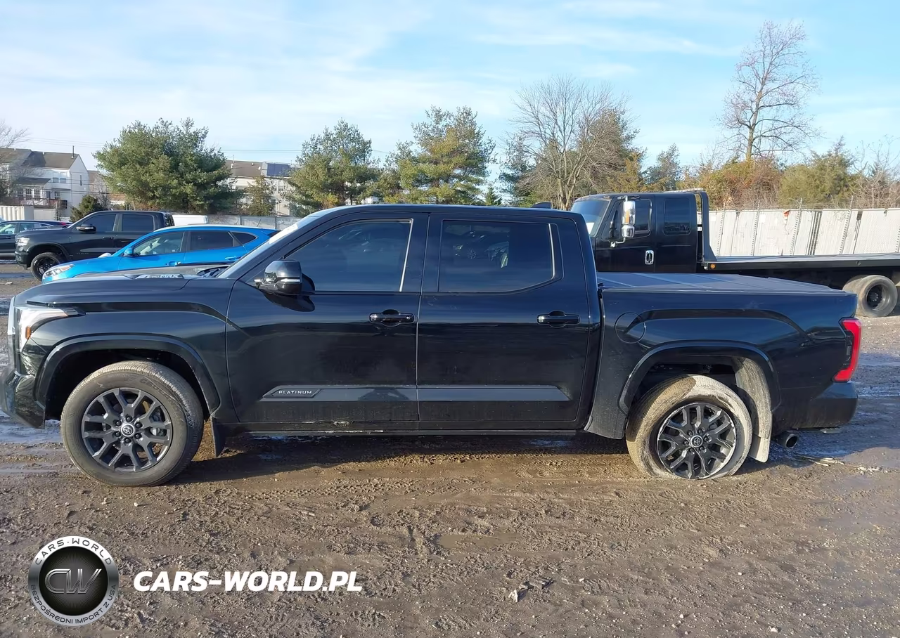 2024 Toyota Tundra Hybrid Platinum 4Wd VIN:5TFNC5DB9RX073099 - 14