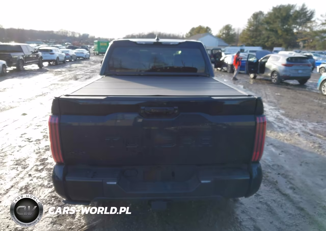 2024 Toyota Tundra Hybrid Platinum 4Wd VIN:5TFNC5DB9RX073099 - 16