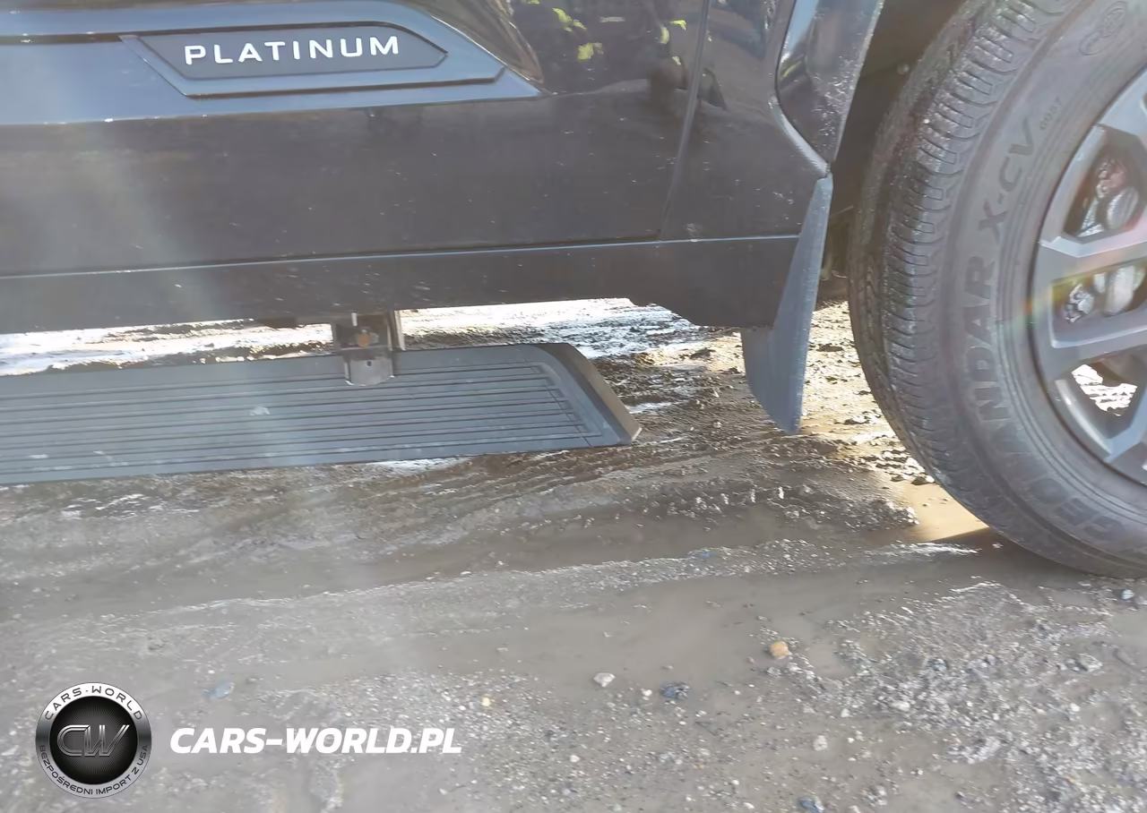 2024 Toyota Tundra Hybrid Platinum 4Wd VIN:5TFNC5DB9RX073099 - 19