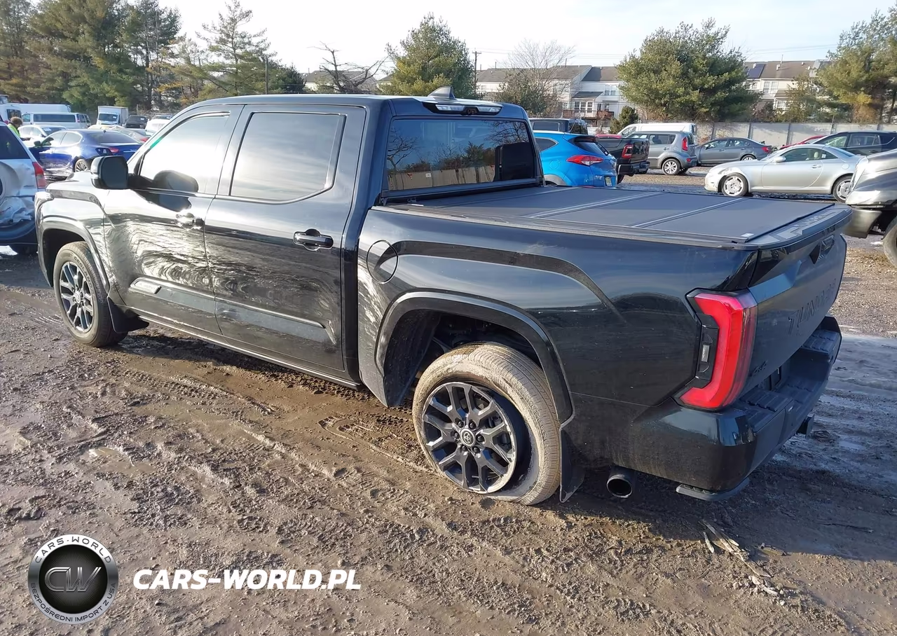 2024 Toyota Tundra Hybrid Platinum 4Wd VIN:5TFNC5DB9RX073099 - 3