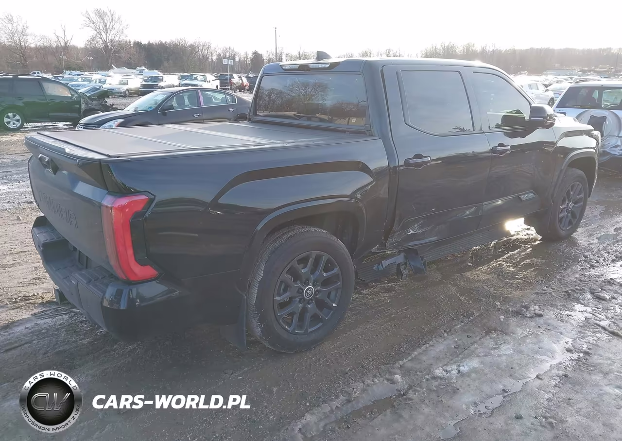 2024 Toyota Tundra Hybrid Platinum 4Wd VIN:5TFNC5DB9RX073099 - 4