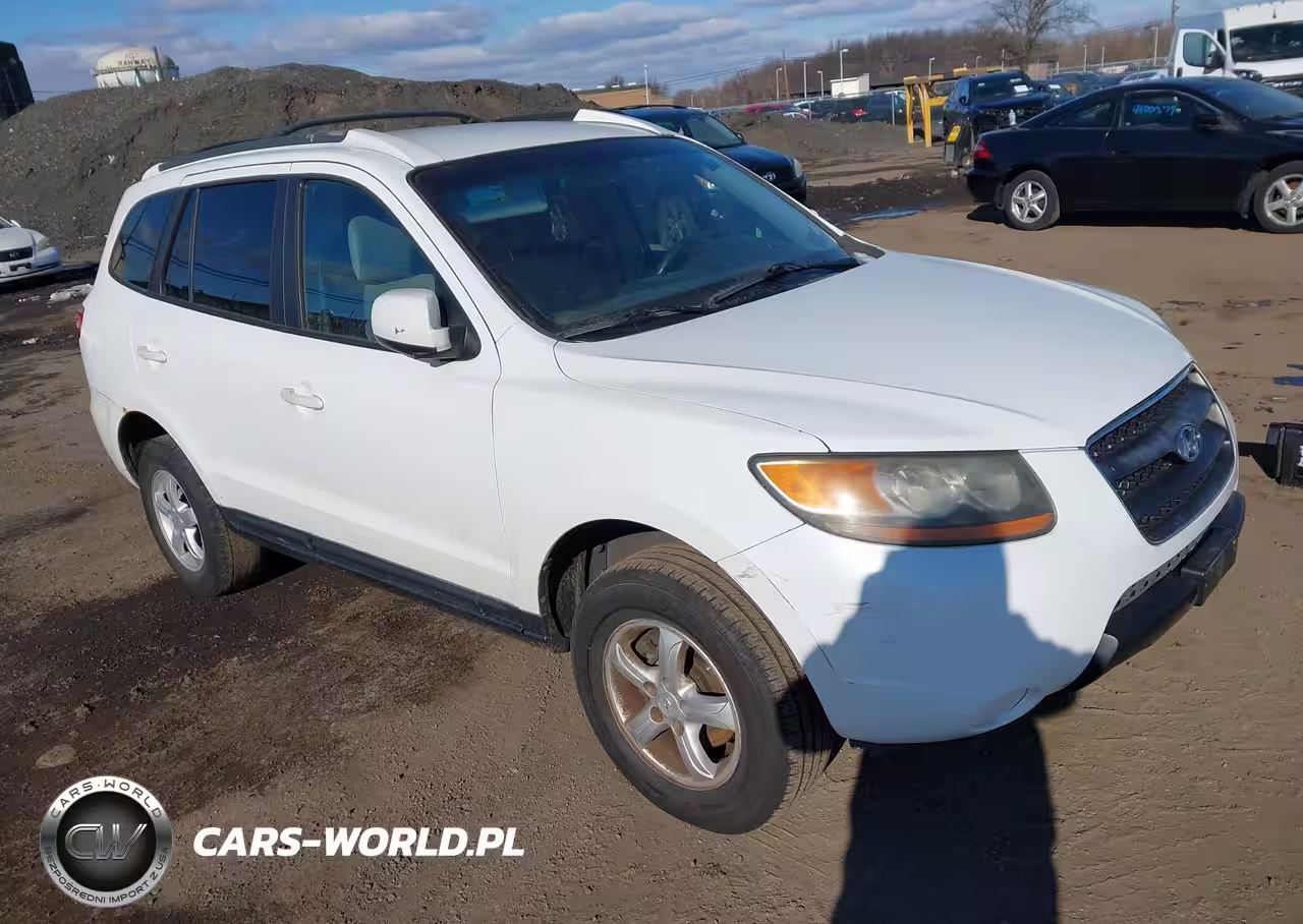 2007 Hyundai Santa Fe Gls