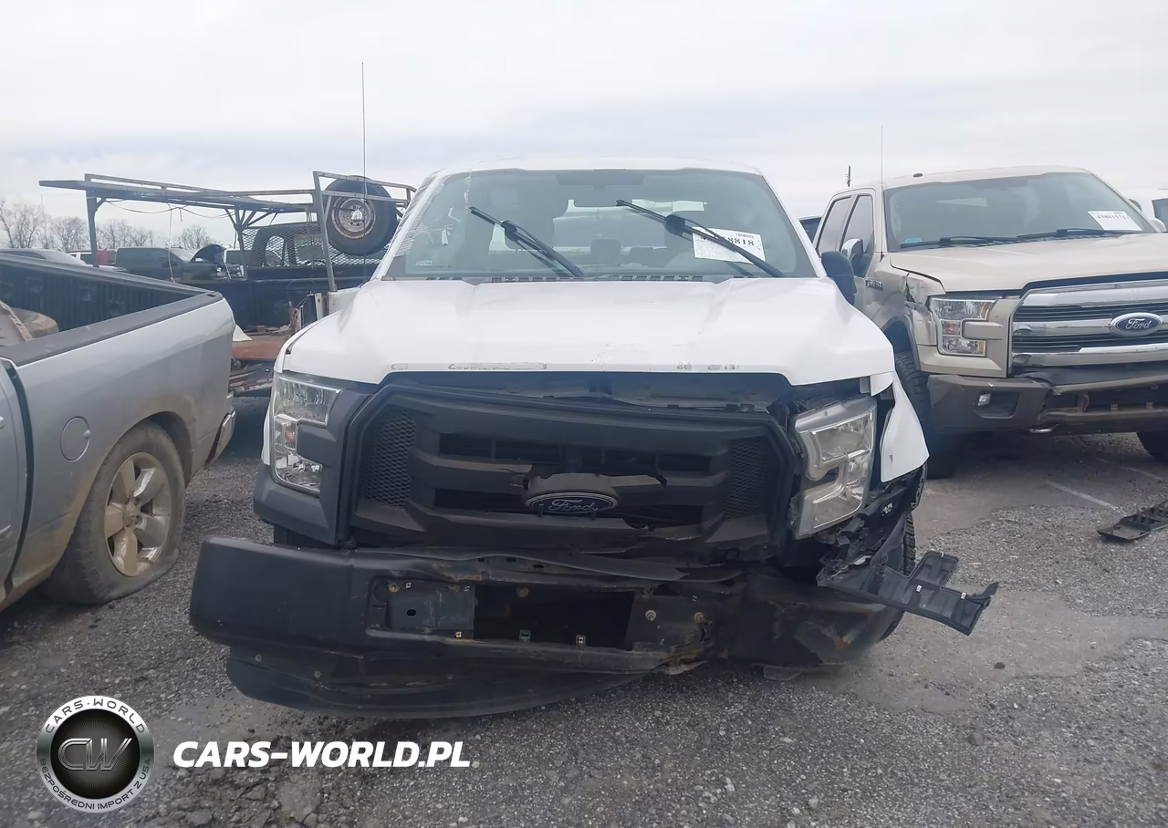 2016 Ford F-150 Xl VIN:1FTEX1C81GKD34335 - 12