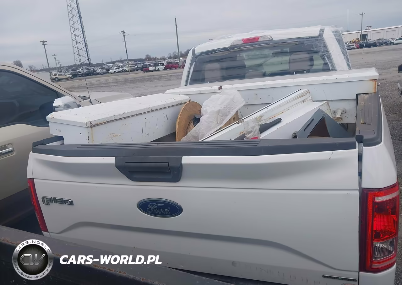 2016 Ford F-150 Xl VIN:1FTEX1C81GKD34335 - 16