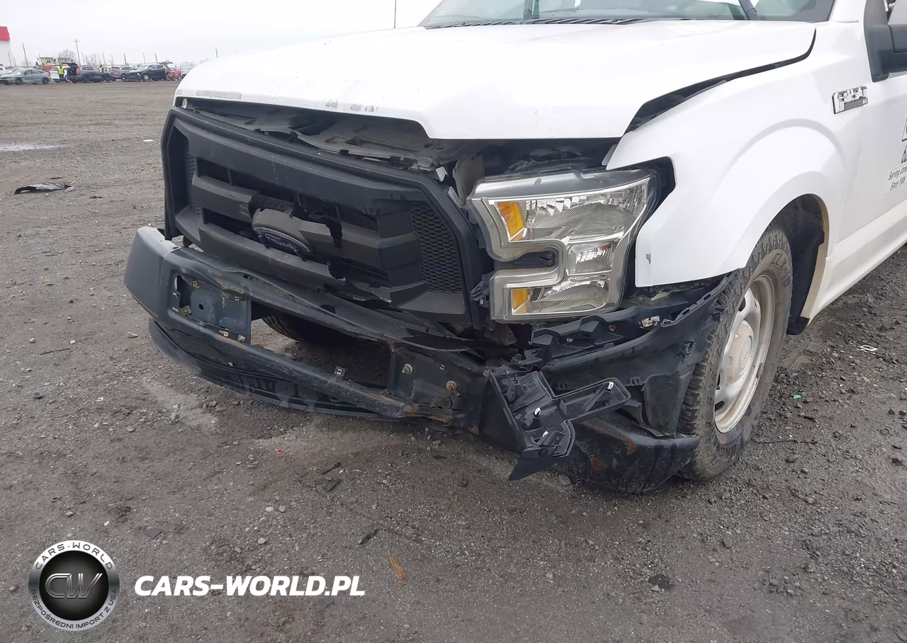 2016 Ford F-150 Xl VIN:1FTEX1C81GKD34335 - 17