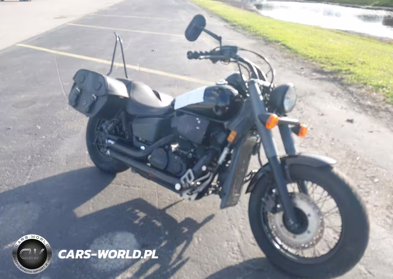 2015 Honda Vt750 C2B