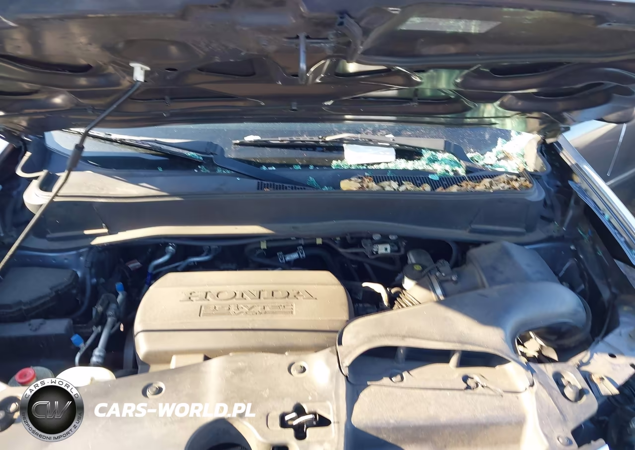 2014 Honda Pilot Ex-L VIN:5FNYF4H52EB033857 - 10