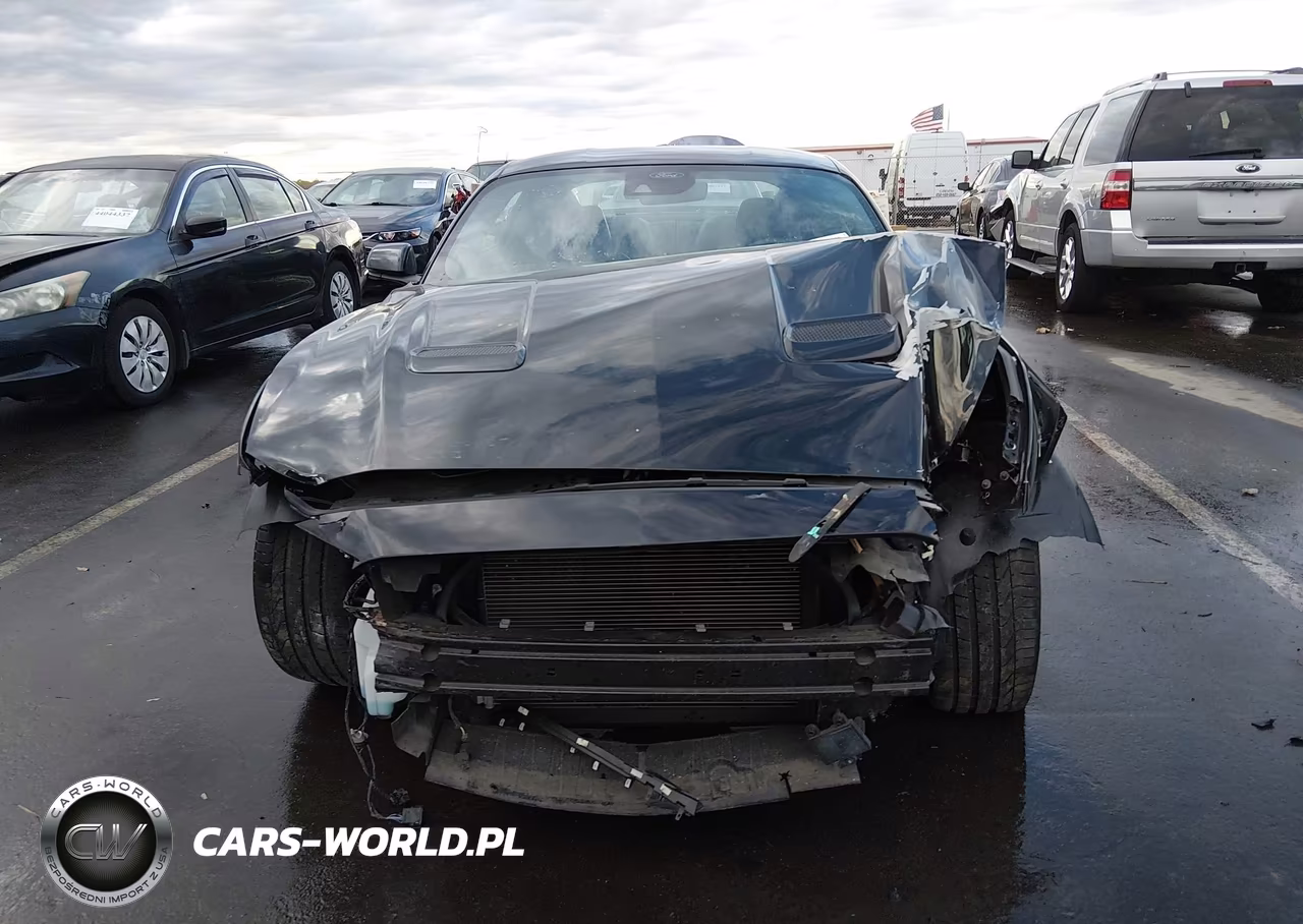 2021 Ford Mustang Gt Premium Fastback VIN:1FA6P8CFXM5126627 - 13