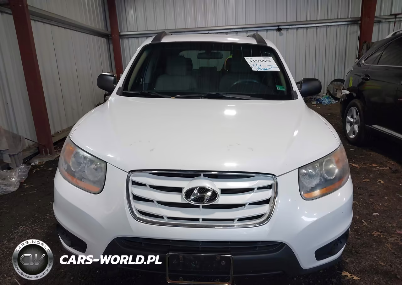 2010 Hyundai Santa Fe Gls VIN:5NMSG3AB9AH397179 - 12