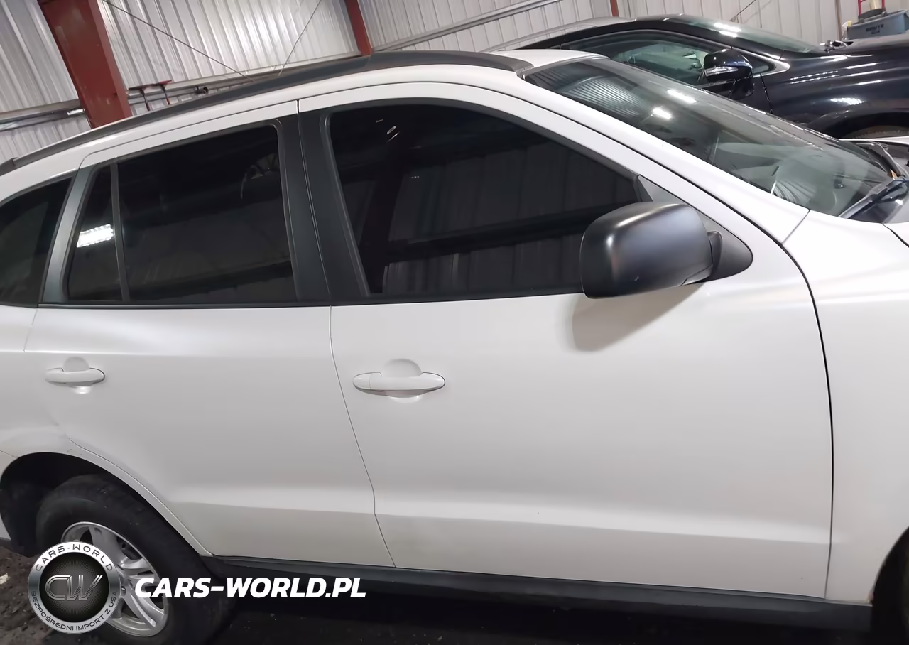 2010 Hyundai Santa Fe Gls VIN:5NMSG3AB9AH397179 - 13
