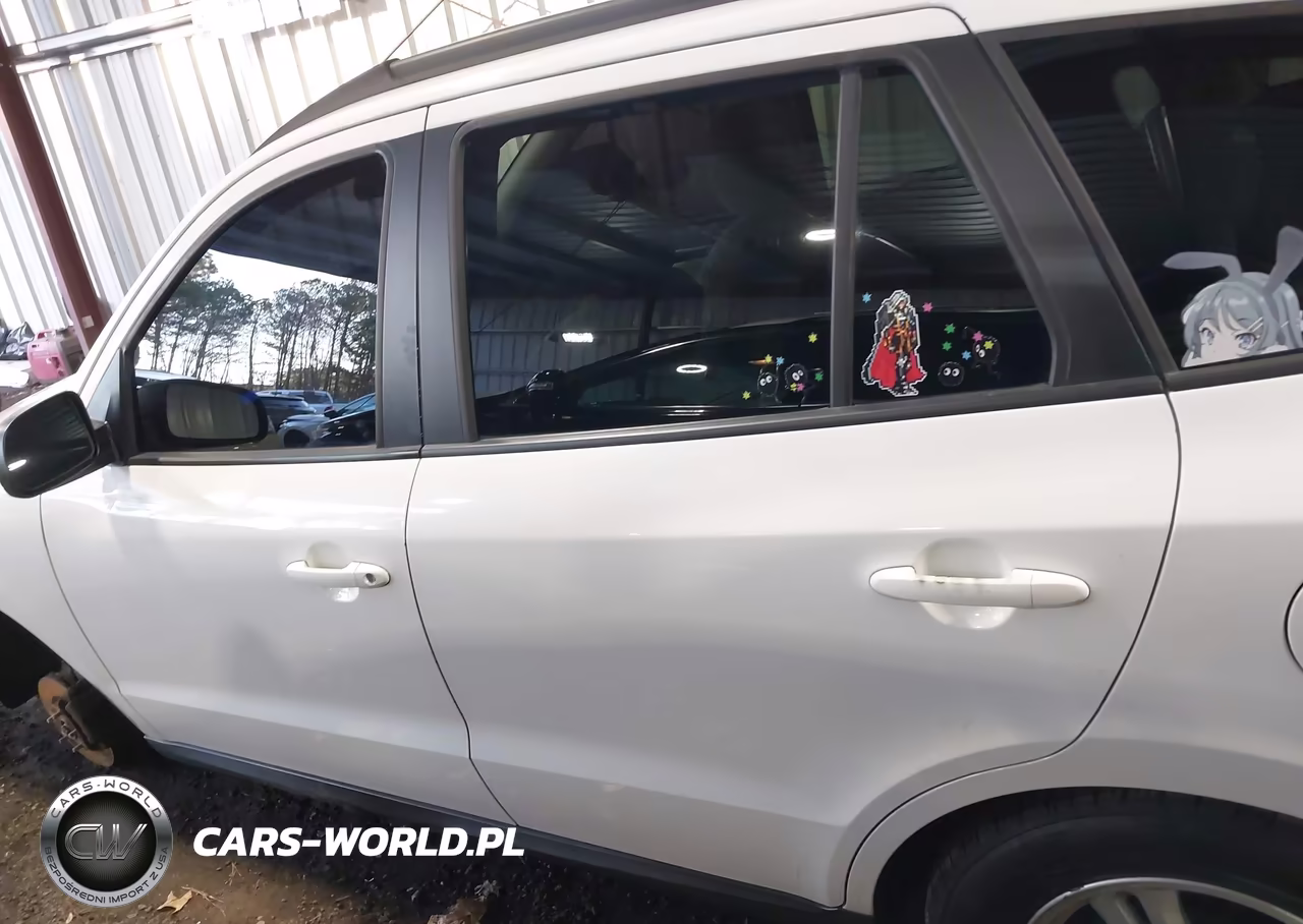 2010 Hyundai Santa Fe Gls VIN:5NMSG3AB9AH397179 - 14