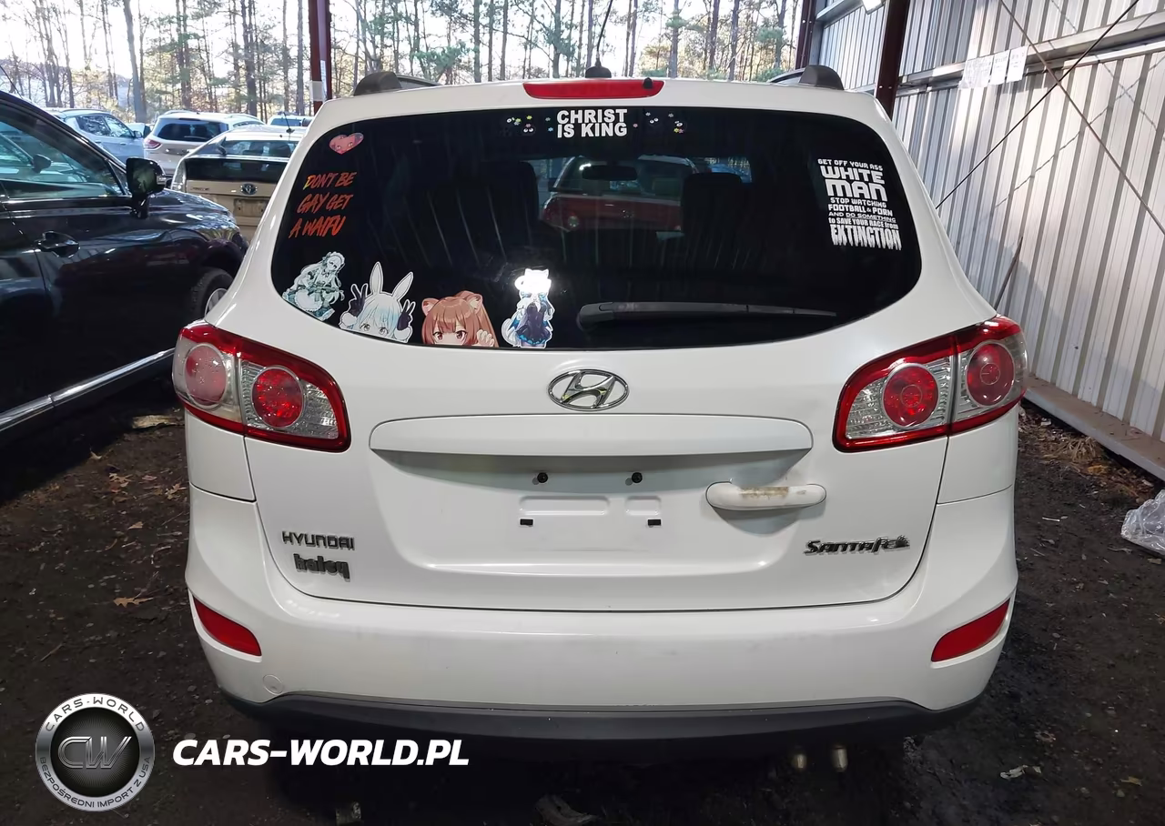 2010 Hyundai Santa Fe Gls VIN:5NMSG3AB9AH397179 - 16