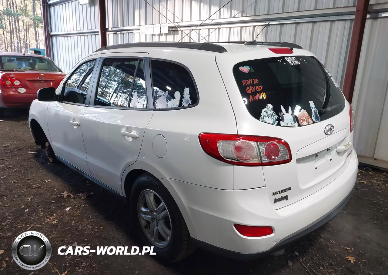 2010 Hyundai Santa Fe Gls VIN:5NMSG3AB9AH397179 - 3