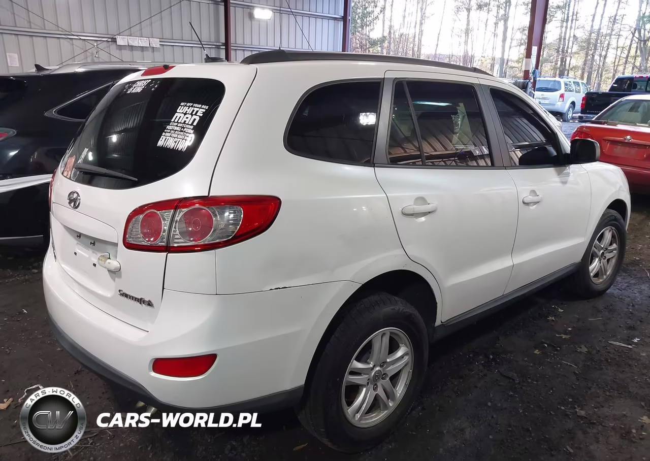 2010 Hyundai Santa Fe Gls VIN:5NMSG3AB9AH397179 - 4
