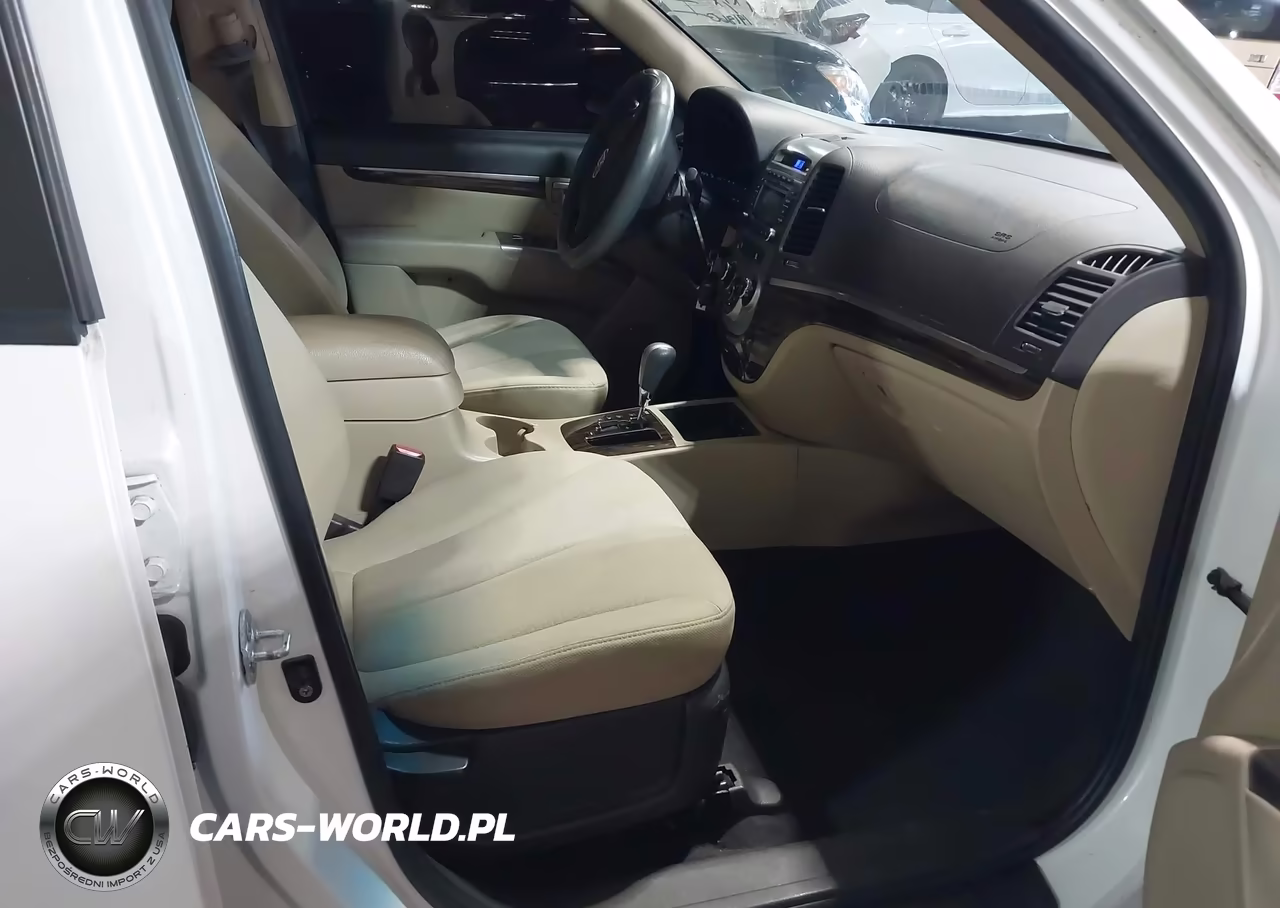 2010 Hyundai Santa Fe Gls VIN:5NMSG3AB9AH397179 - 5