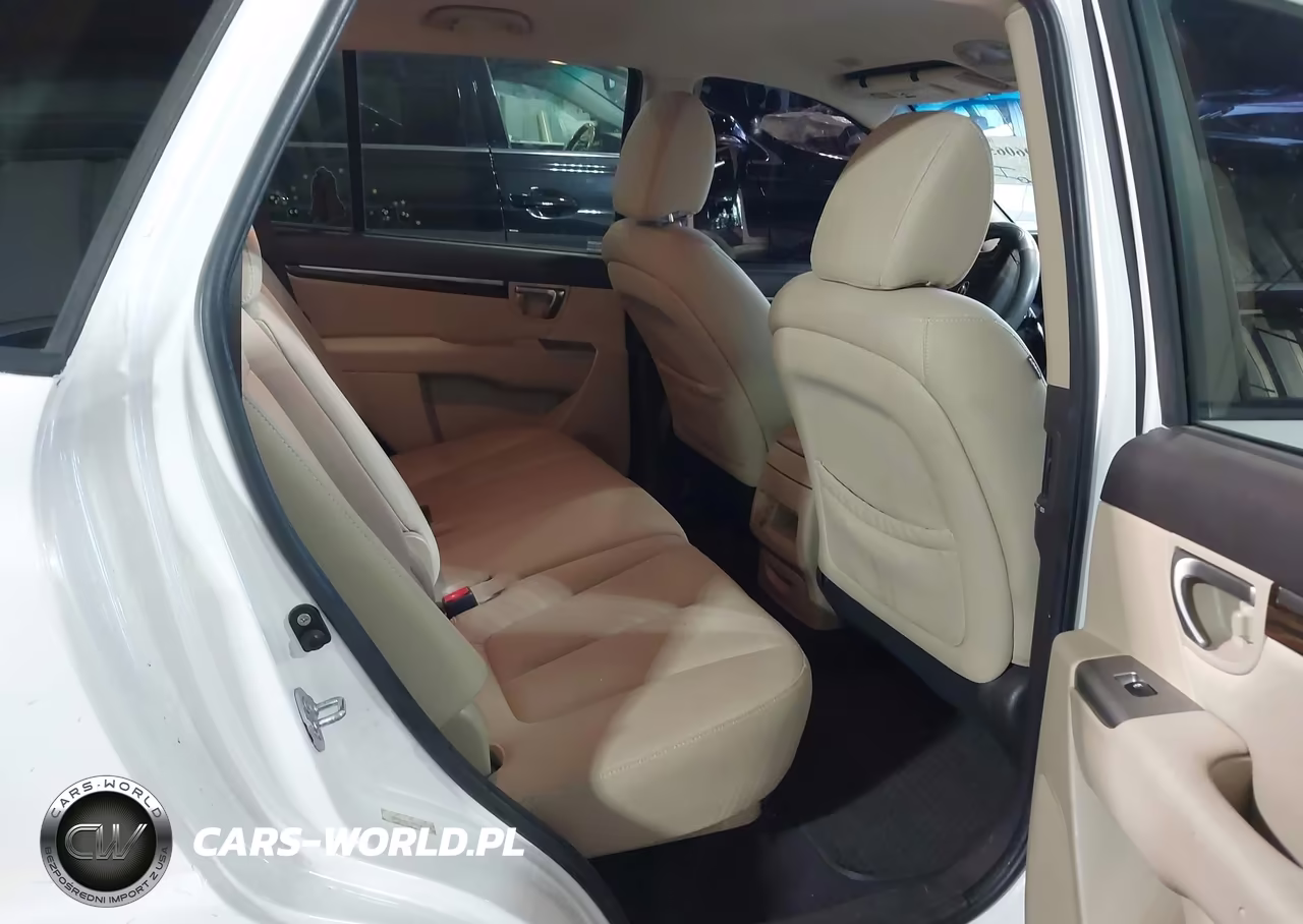 2010 Hyundai Santa Fe Gls VIN:5NMSG3AB9AH397179 - 8