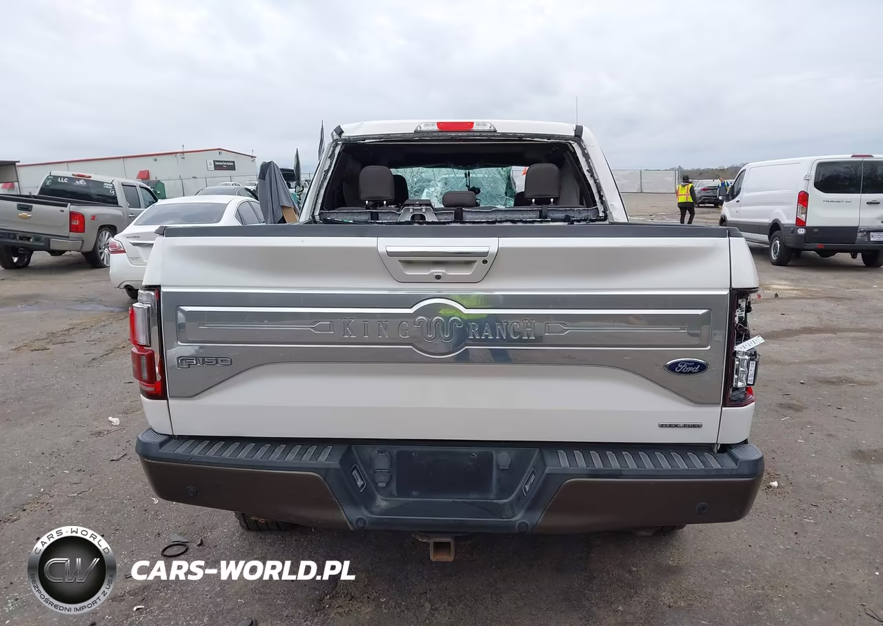 2016 Ford F-150 King Ranch VIN:1FTEW1EF7GFA59044 - 17