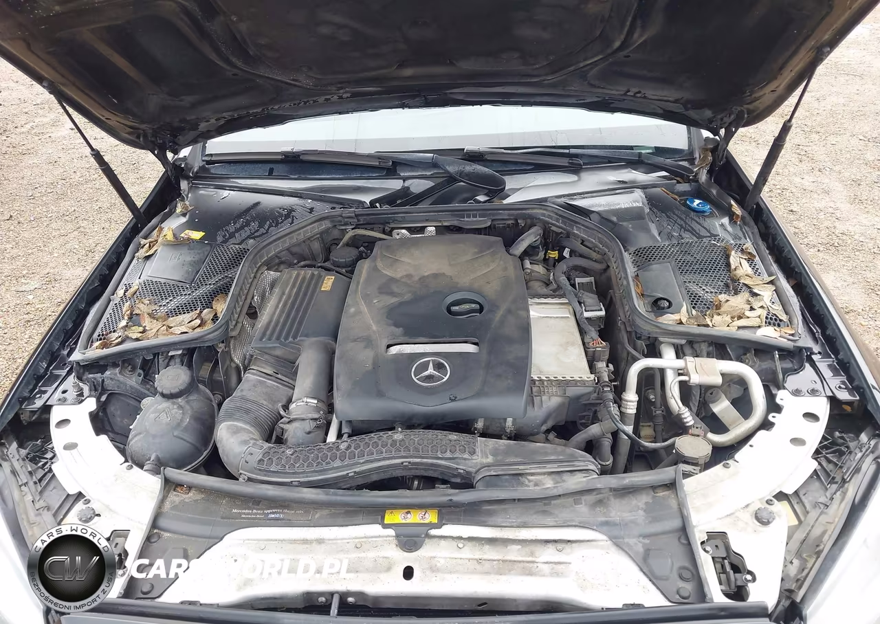 2016 Mercedes-Benz C 300 VIN:55SWF4JB5GU115851 - 10