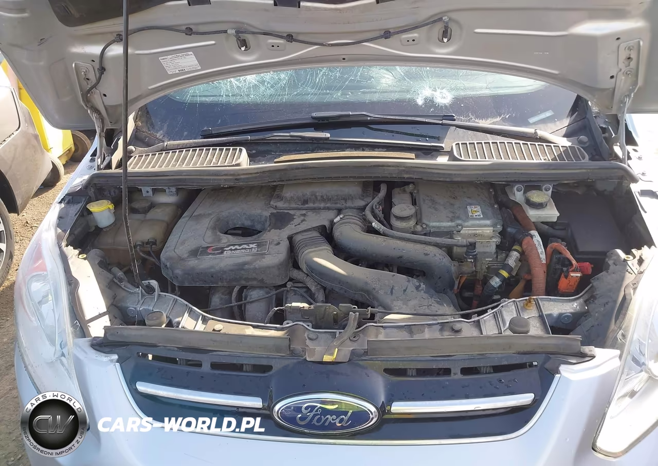 2016 Ford C-Max Energi Sel VIN:1FADP5CU2GL106022 - 10