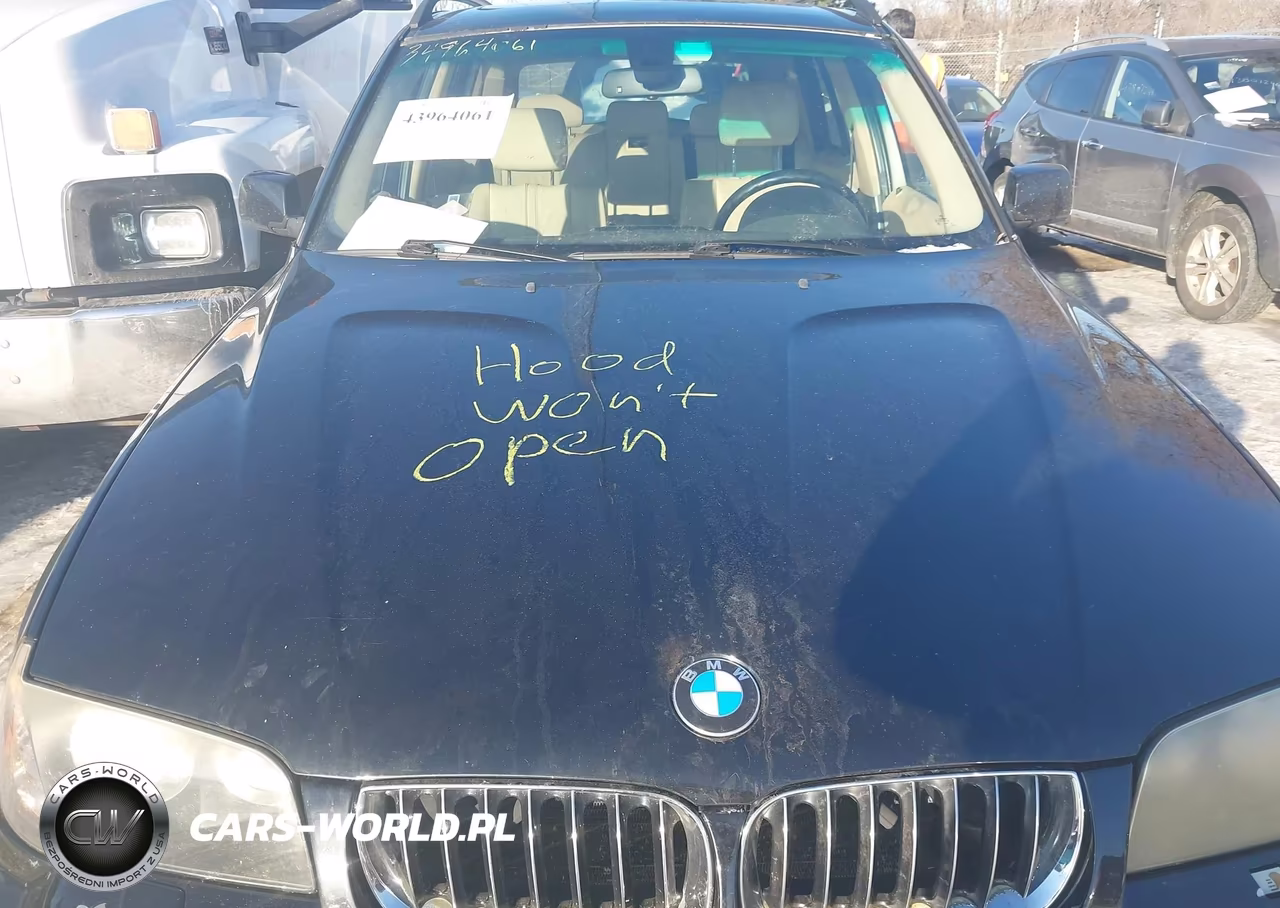 2006 BMW X3 3.0I VIN:WBXPA93466WG91397 - 10