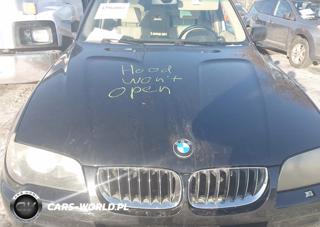 2006 BMW X3 3.0I VIN:WBXPA93466WG91397 - 6