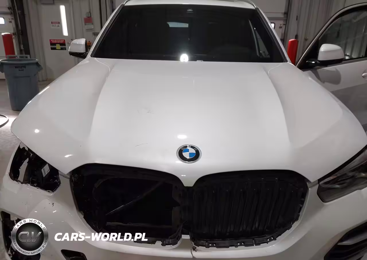 2022 BMW X5 xDrive40I VIN:5UXCR6C03N9N26707 - 10