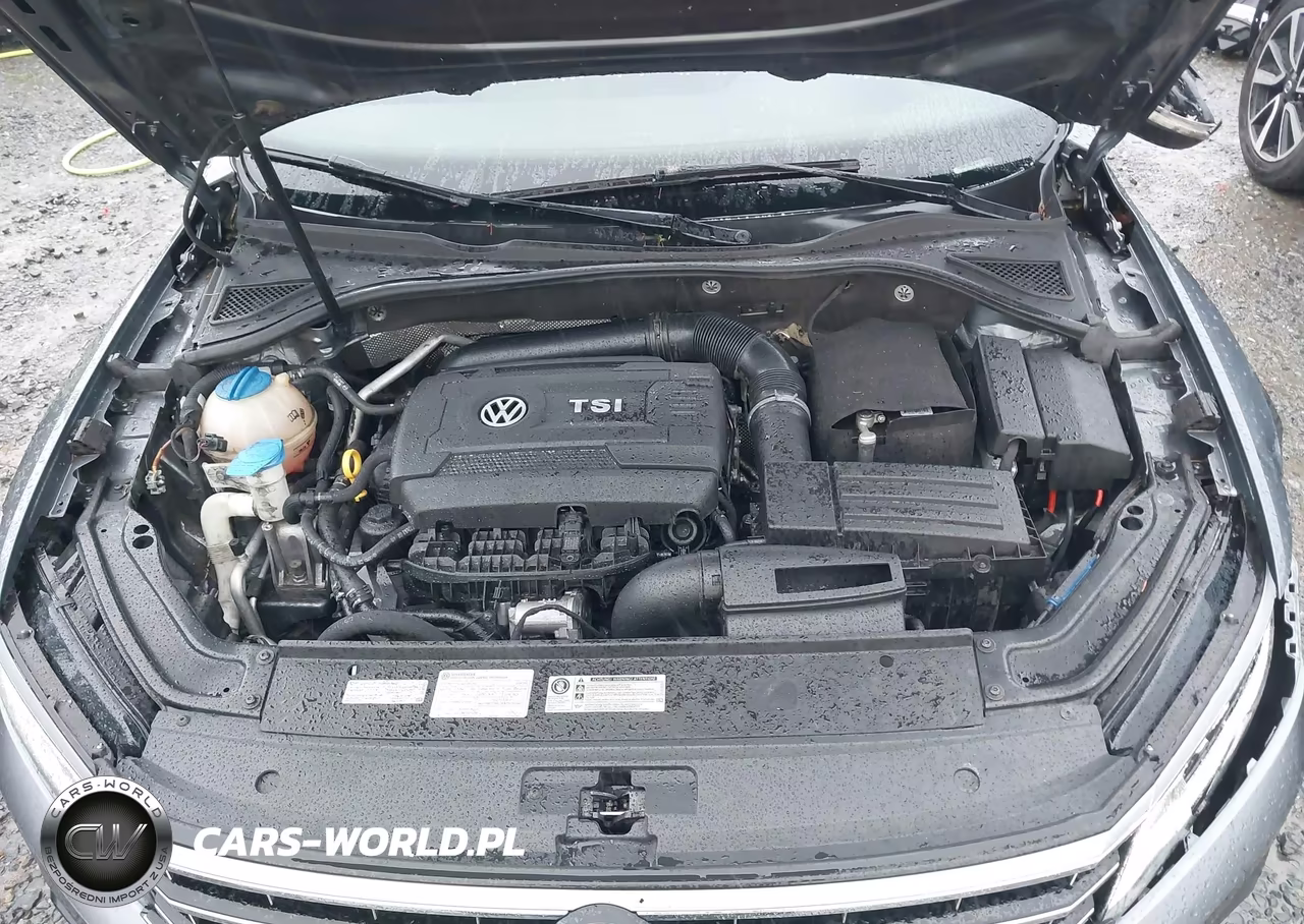 2016 Volkswagen Passat 1.8T Se VIN:1VWBS7A35GC059801 - 10