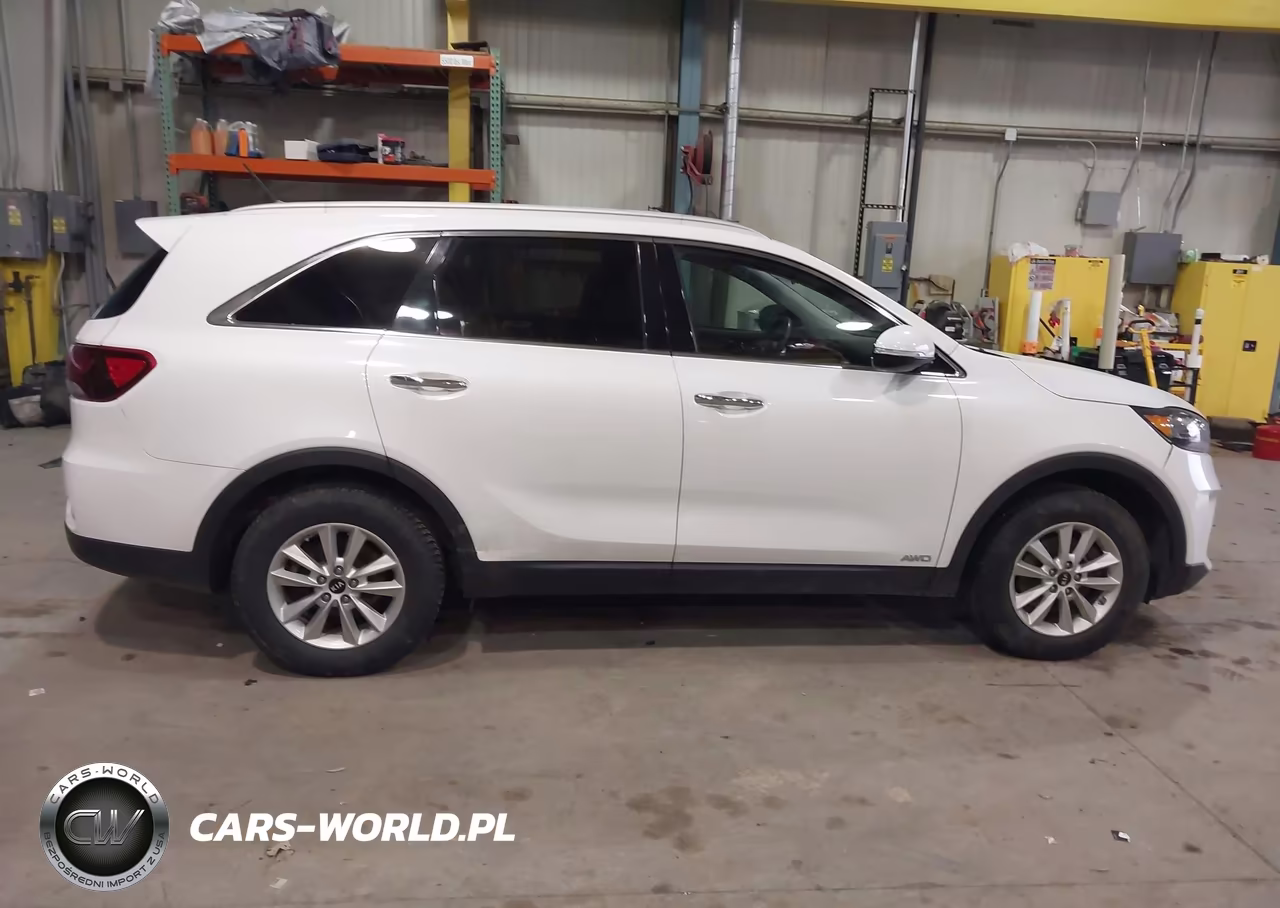 2020 Kia Sorento 2.4L Lx VIN:5XYPGDA39LG689593 - 13