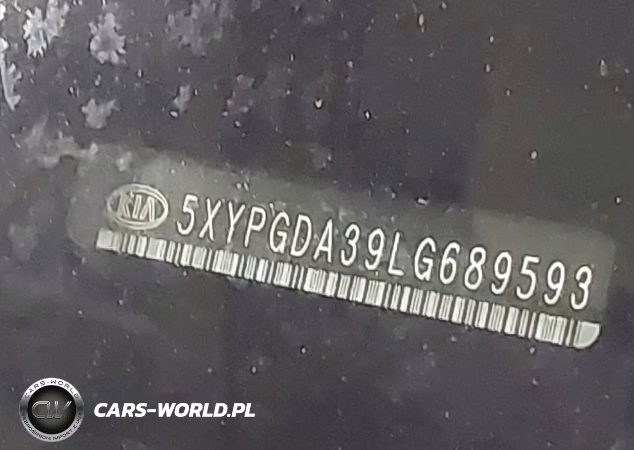 2020 Kia Sorento 2.4L Lx VIN:5XYPGDA39LG689593 - 9