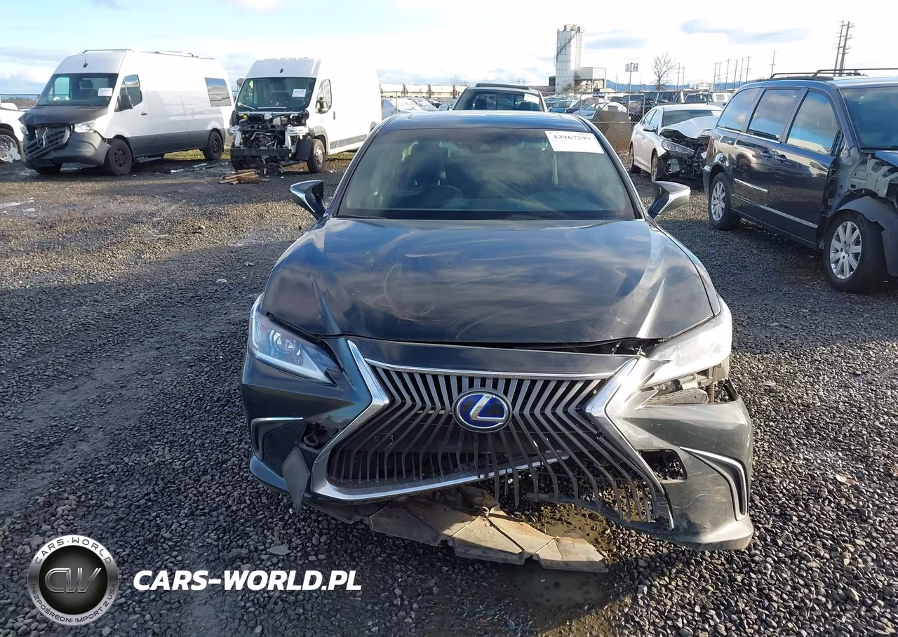 2019 Lexus Es 300H VIN:JTHB21B11K2032637 - 13