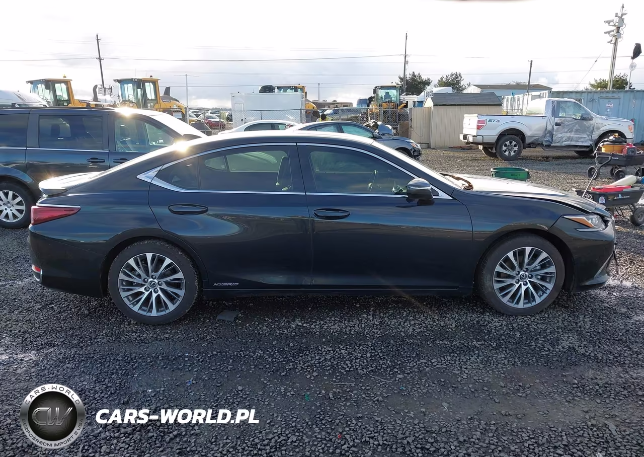 2019 Lexus Es 300H VIN:JTHB21B11K2032637 - 14