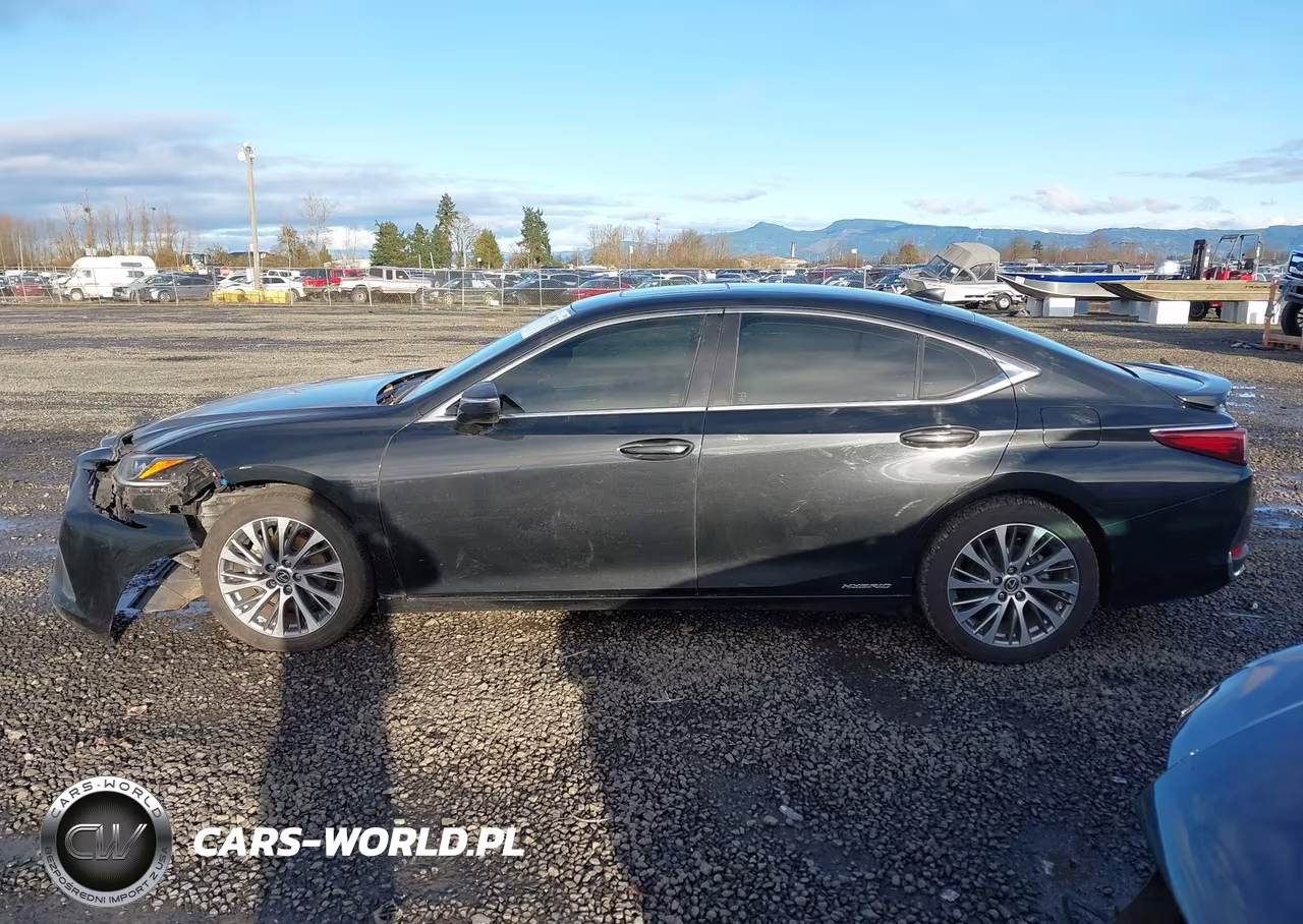 2019 Lexus Es 300H VIN:JTHB21B11K2032637 - 15