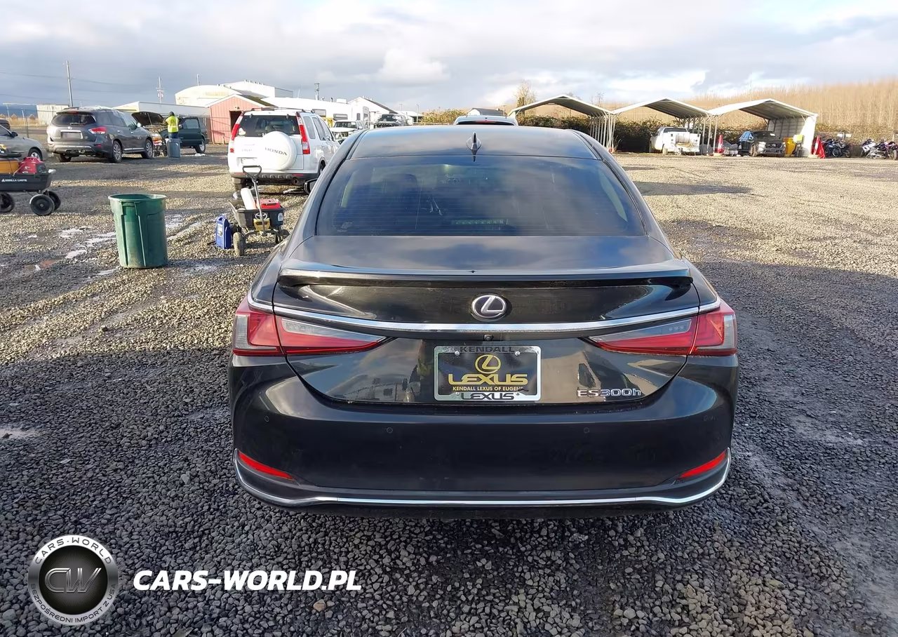 2019 Lexus Es 300H VIN:JTHB21B11K2032637 - 17