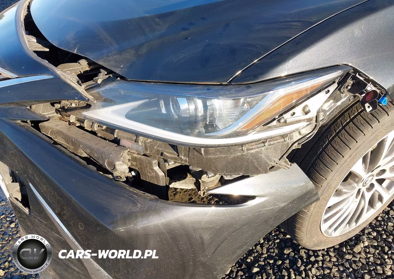 2019 Lexus Es 300H VIN:JTHB21B11K2032637 - 18
