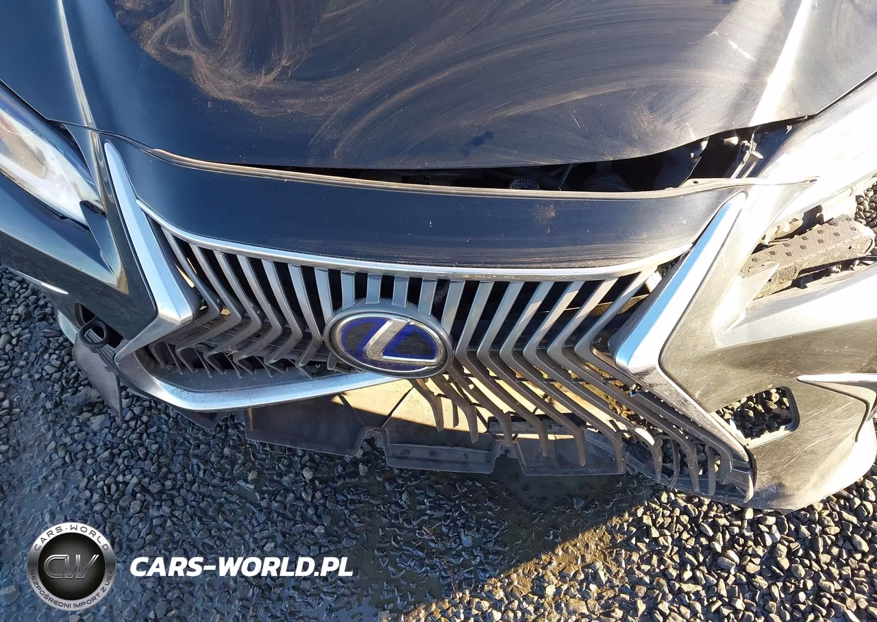 2019 Lexus Es 300H VIN:JTHB21B11K2032637 - 19