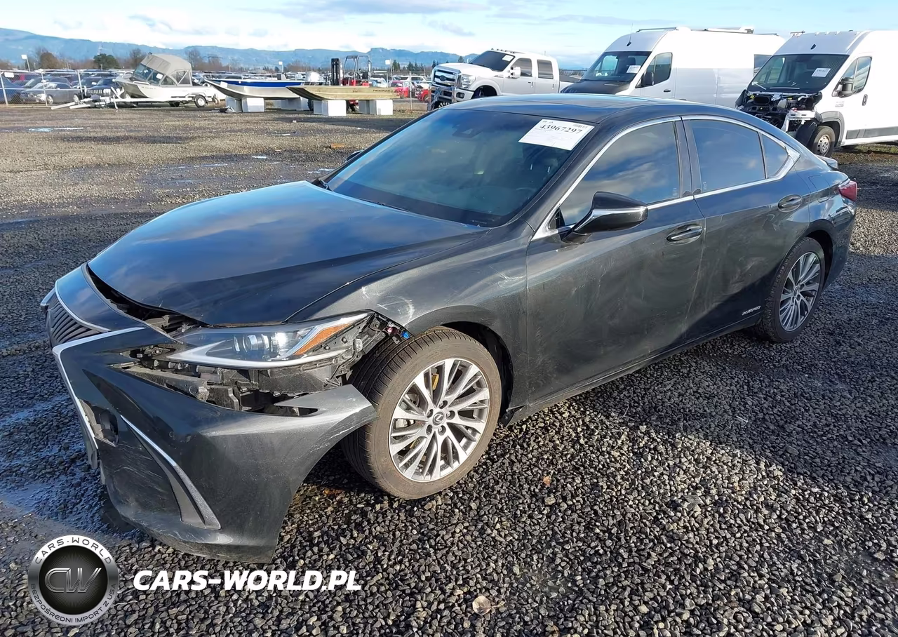 2019 Lexus Es 300H VIN:JTHB21B11K2032637 - 2