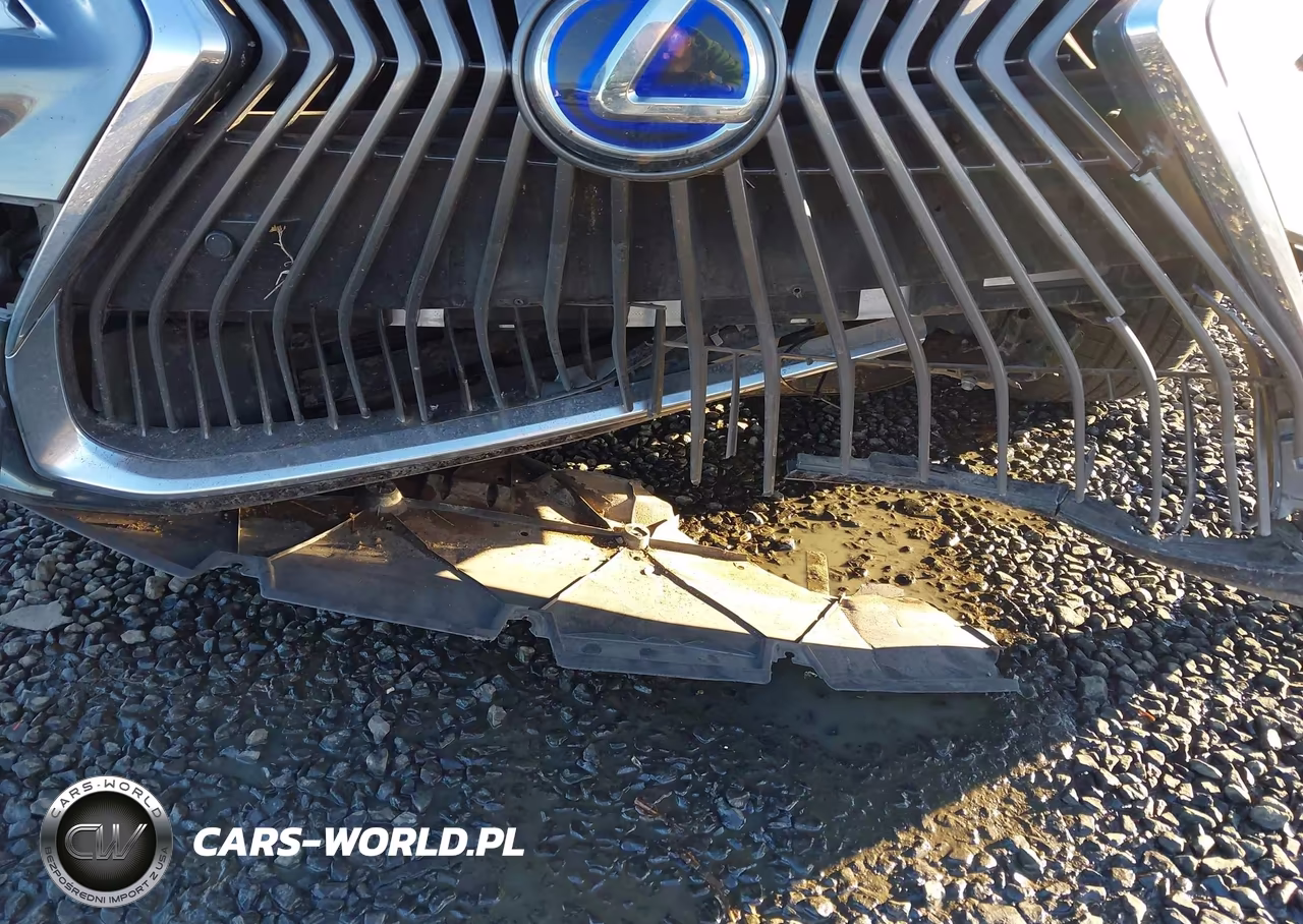 2019 Lexus Es 300H VIN:JTHB21B11K2032637 - 20