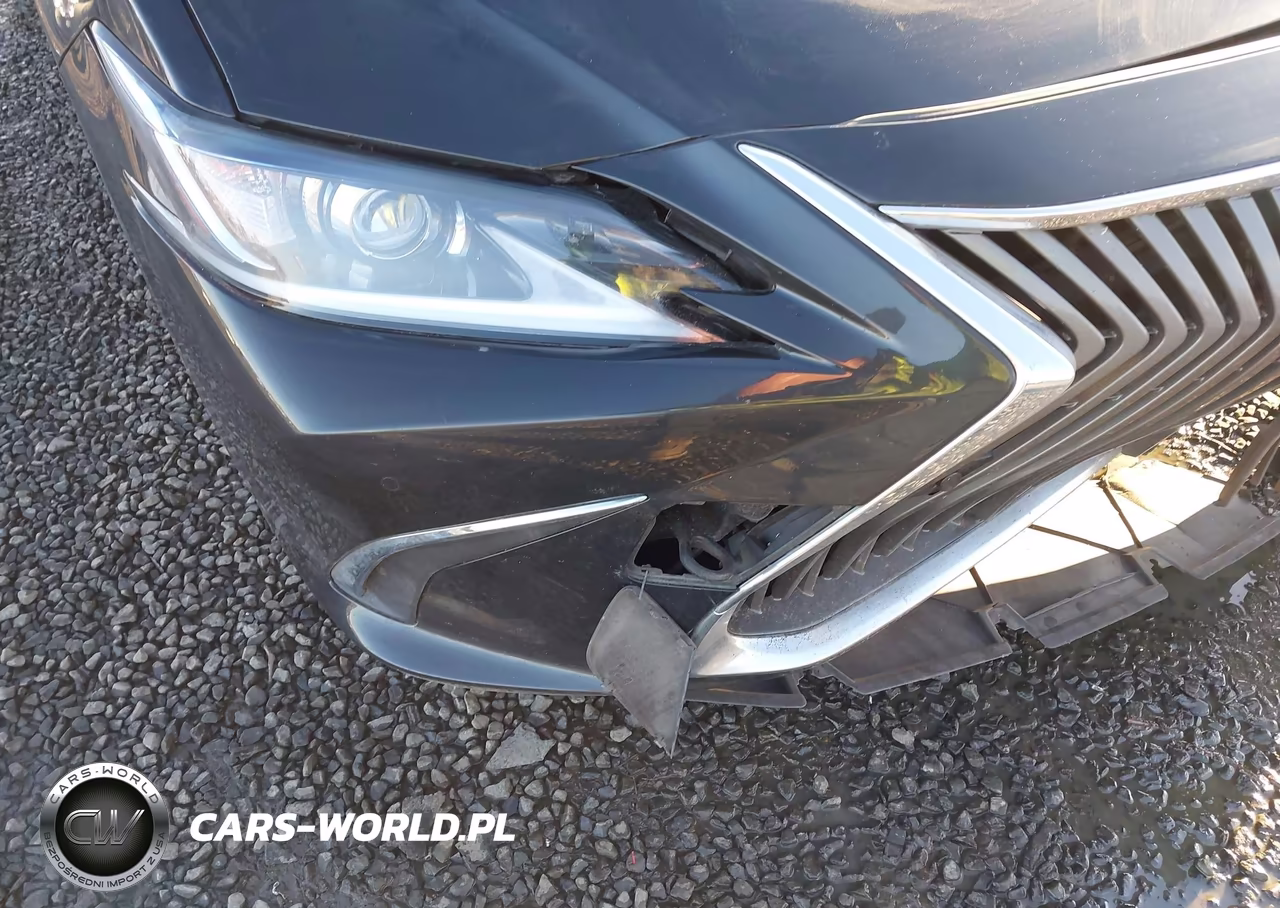 2019 Lexus Es 300H VIN:JTHB21B11K2032637 - 21