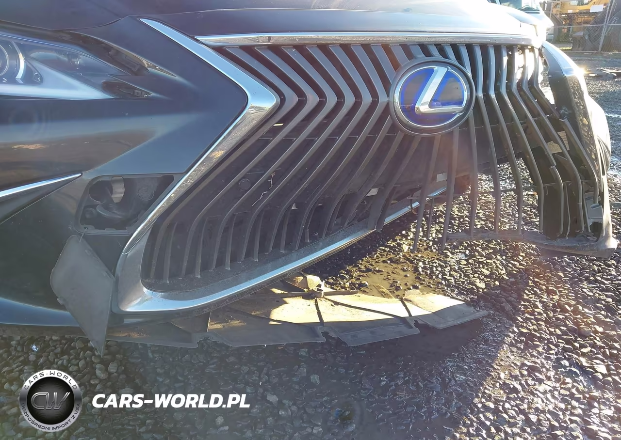 2019 Lexus Es 300H VIN:JTHB21B11K2032637 - 22