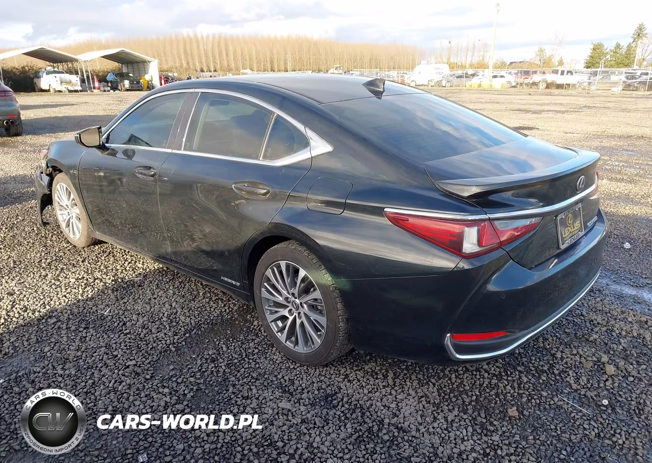 2019 Lexus Es 300H VIN:JTHB21B11K2032637 - 3