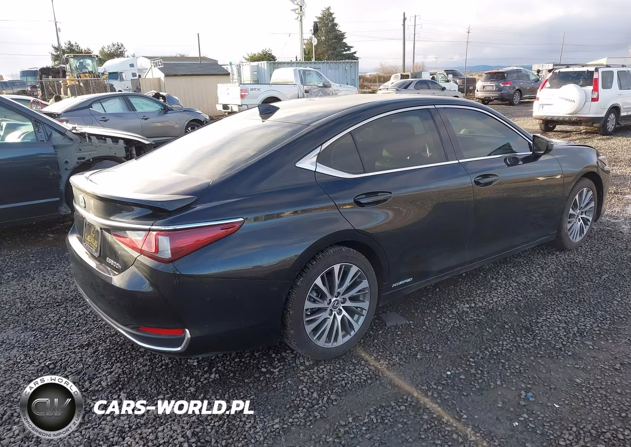 2019 Lexus Es 300H VIN:JTHB21B11K2032637 - 4
