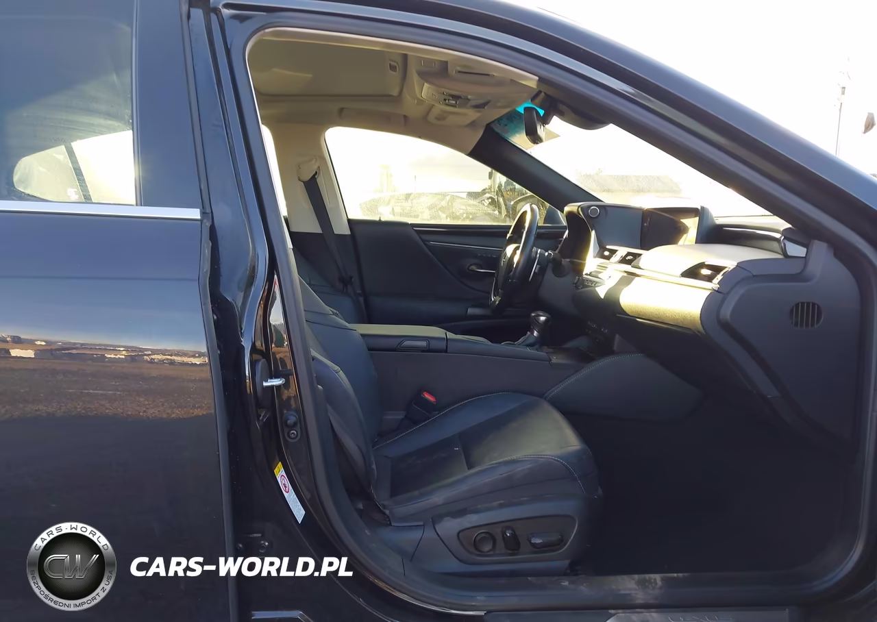 2019 Lexus Es 300H VIN:JTHB21B11K2032637 - 5