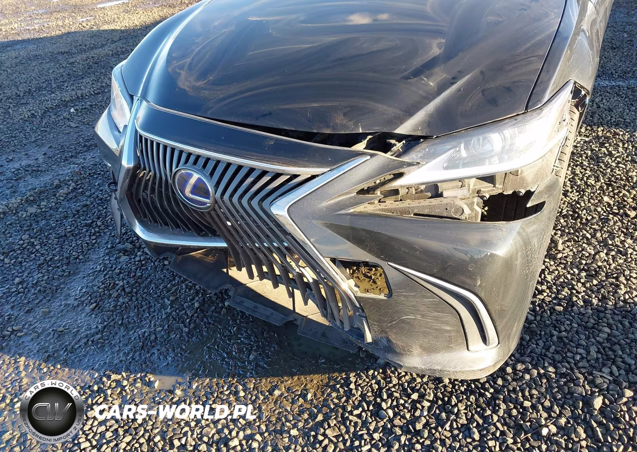 2019 Lexus Es 300H VIN:JTHB21B11K2032637 - 6